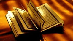 فتاوى وأسئلة وأجوبة