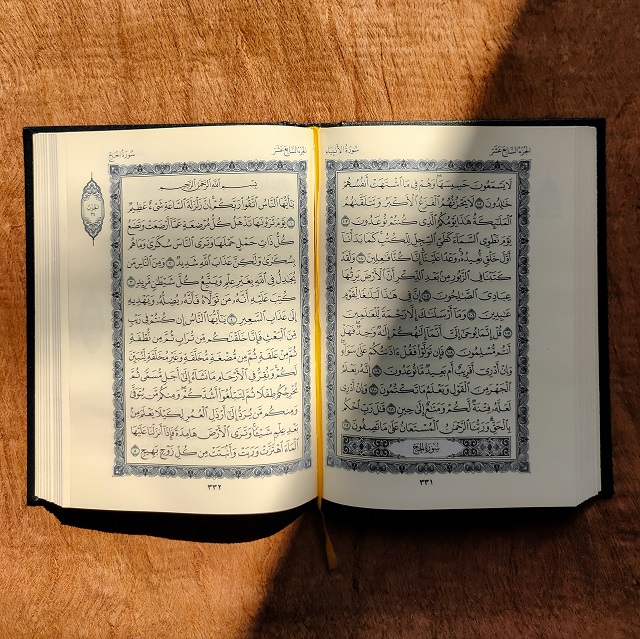 فتاوى